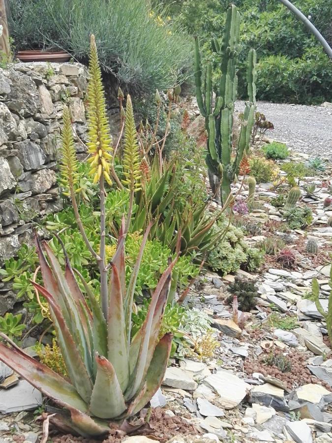 Terre Di Garlenda旅馆 外观 照片