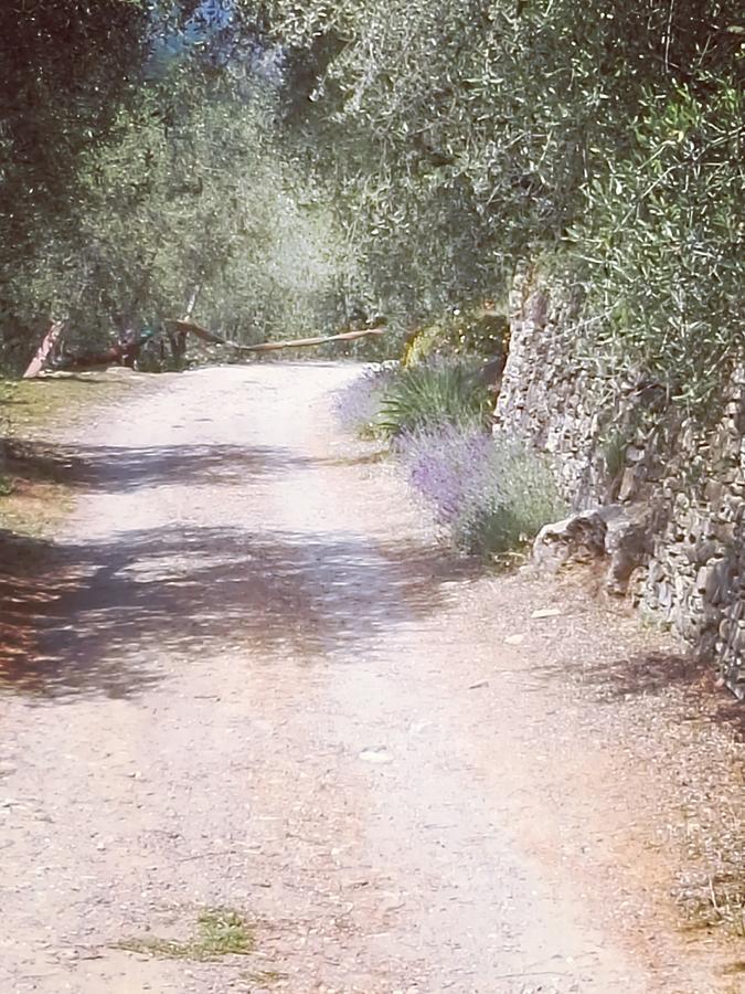Terre Di Garlenda旅馆 外观 照片